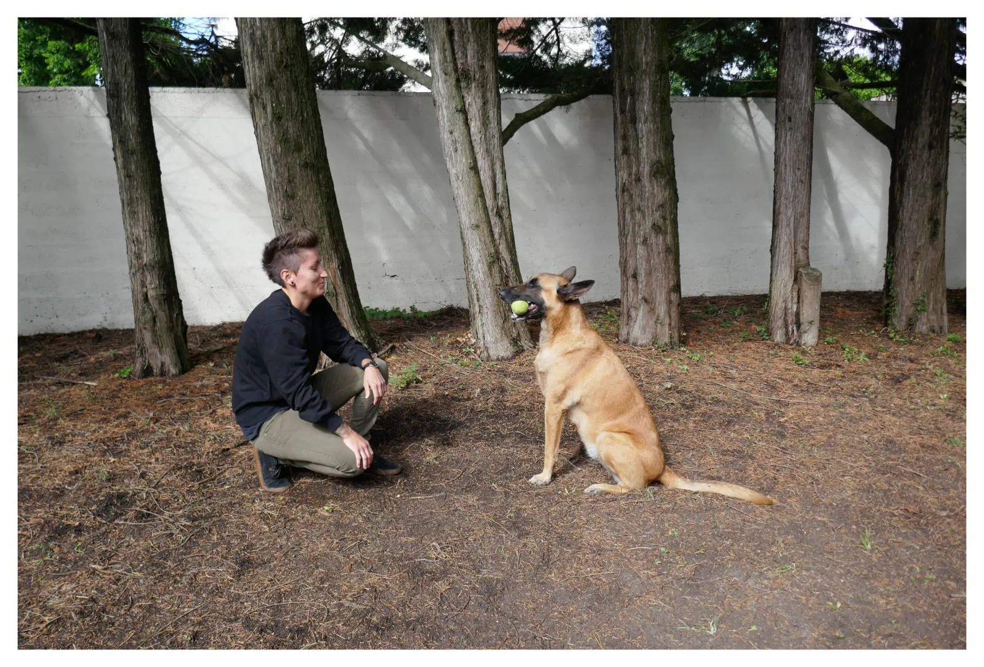 Formation éducateur canin au Bouscat prévue en Juin/Juillet 2022.