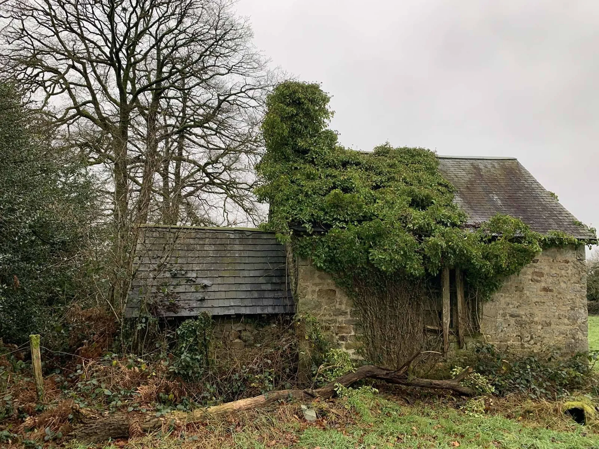 Région SOURDEVAL (MANCHE) Parcelles d'herbage et bois taillis sur 9 HA 10 A