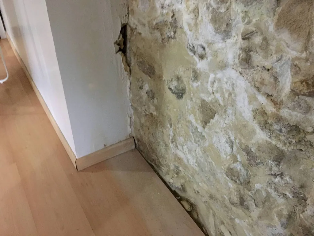 Eliminer le salpêtre des murs à Montpellier