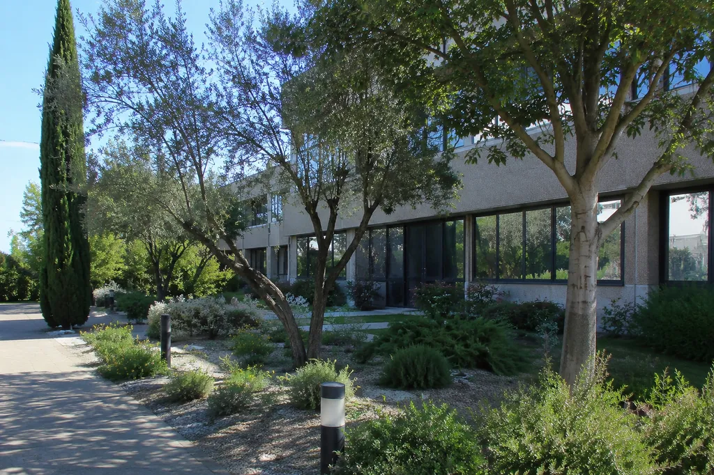 Aménagement paysager pour une entreprise à Villeneuve-lès-Avignon