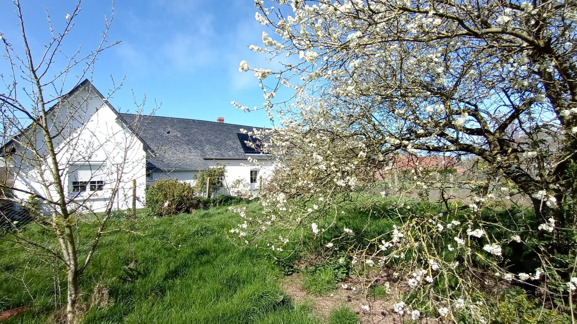 jardin exposé plein sud