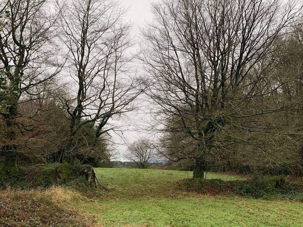Région SOURDEVAL (MANCHE) Parcelles d'herbage et bois taillis sur 9 HA 10 A