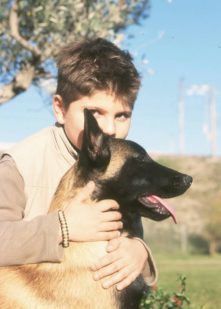 BERGER BELGE MALINOIS EN PACA