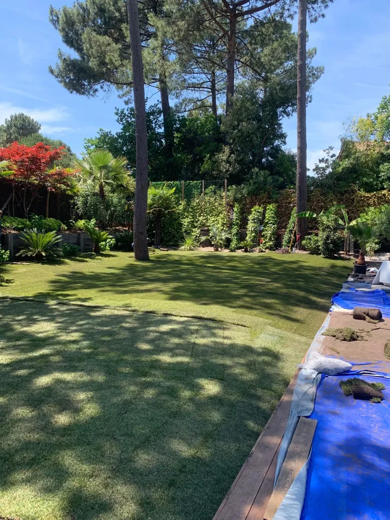 Création de gazon en rouleau pour les terrains situés à Biscarrosse