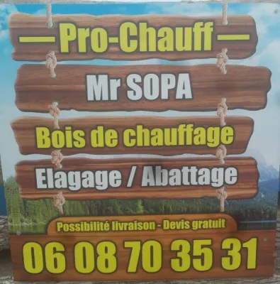 Bois de chauffage élagage