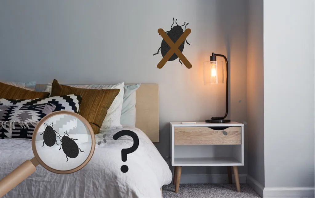 Propreté KHEM : votre spécialiste en nettoyage extrême pour les particuliers ou les professionnels : après décès, crime, suicide, insalubrité ou syndrome de Diogène