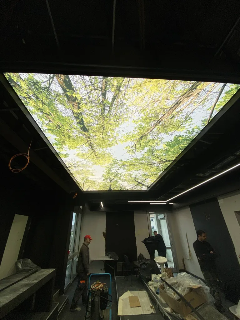 CROEC de Toulouse : plafond imprimé acoustique dans salle du conseil - Plafonds Tendus Occitans Portet S/Garonne