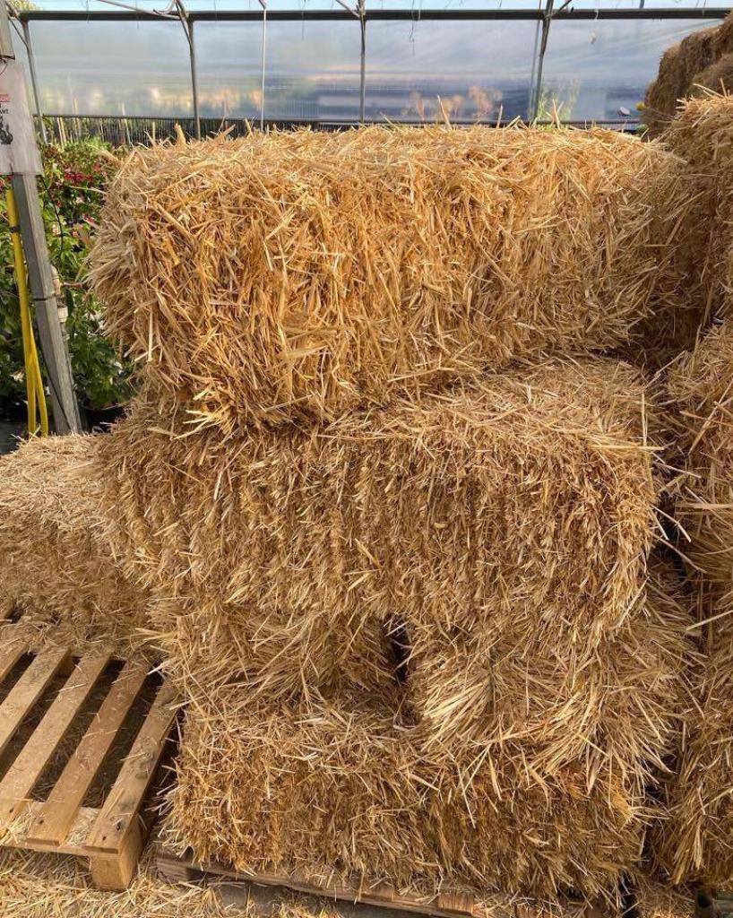 Sac De Paille Naturelle 2 Kg – Qualité Extra Made In France – Paillage Jardin & Litière