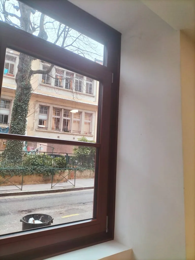installation de fenêtres en bois exotique à Lyon dans un immeuble classé Bâtiment de France
