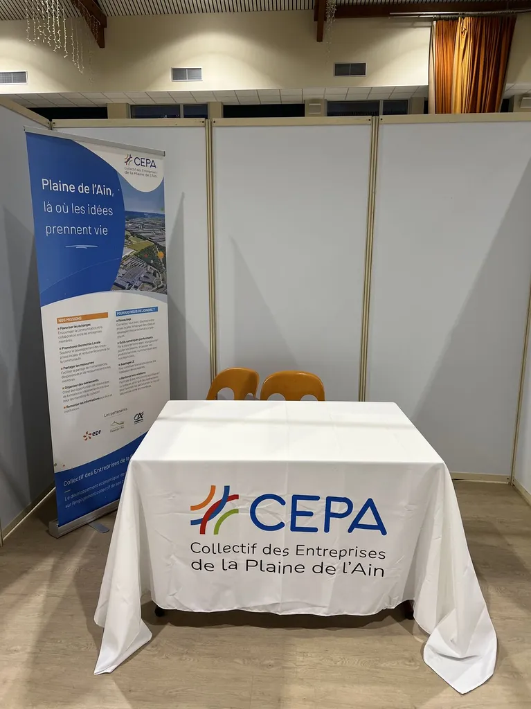 Aménagement du Salon