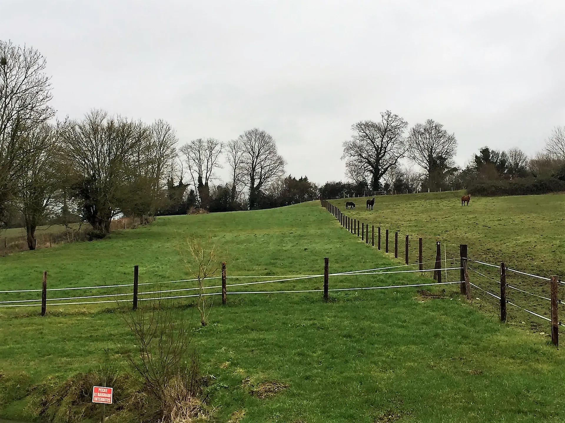 ENSEMBLE DE 3 MAISONS NORMANDES Région Livarot Pays d'Auge, Calvados 14