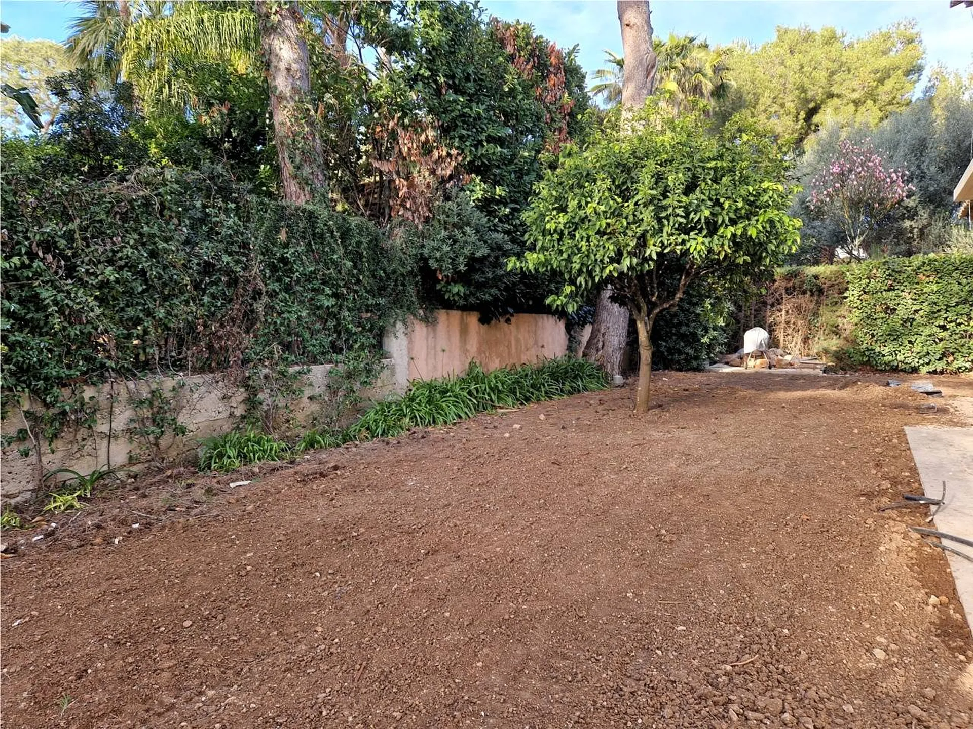 Visite état des lieux avant conception de jardin à Monaco