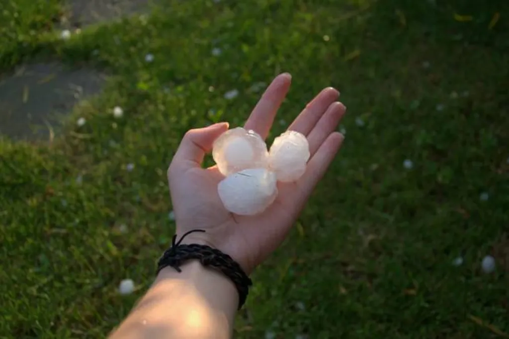 Grêle Tuiles GERARD