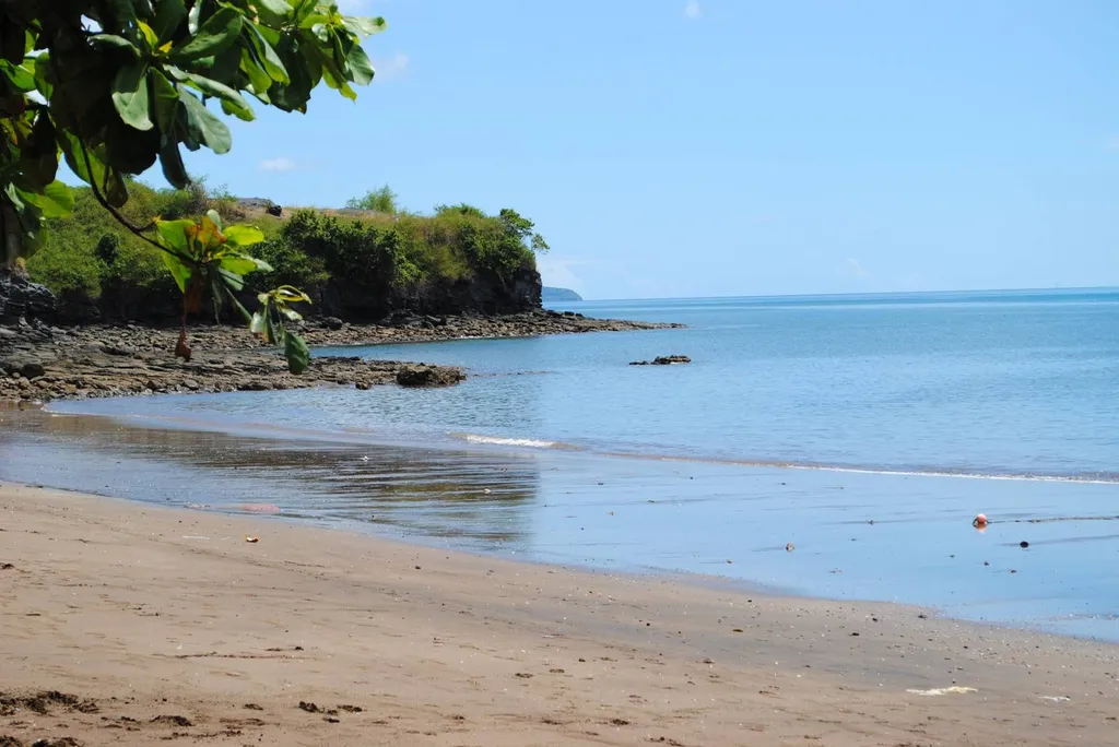 Expédiez des colis et courriers express vers l'Afrique