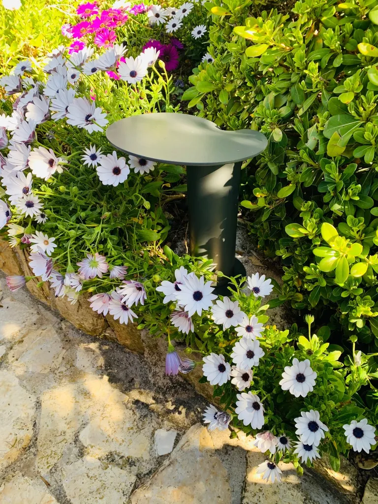 Installation de luminaire extérieur SLV dans un jardin à Gémenos 13420