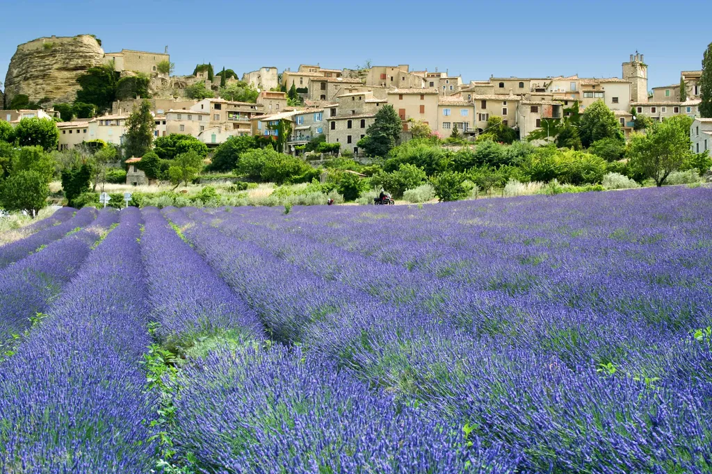 Lourmarin, village du Sud Luberon : château Renaissance, ruelles animées, terrasses et art de vivre provençal.