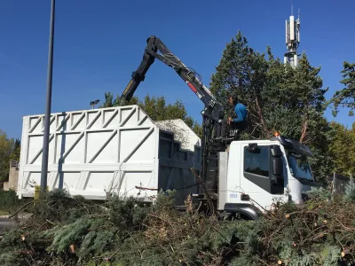 Élagage près des lignes électriques dans le Vaucluse, par élagueurs professionnels à Avignon