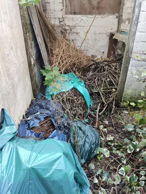 Débarras de déchets végétaux et plastiques en extérieur à Gainneville : obtenir un devis pour débarrasser un jardin