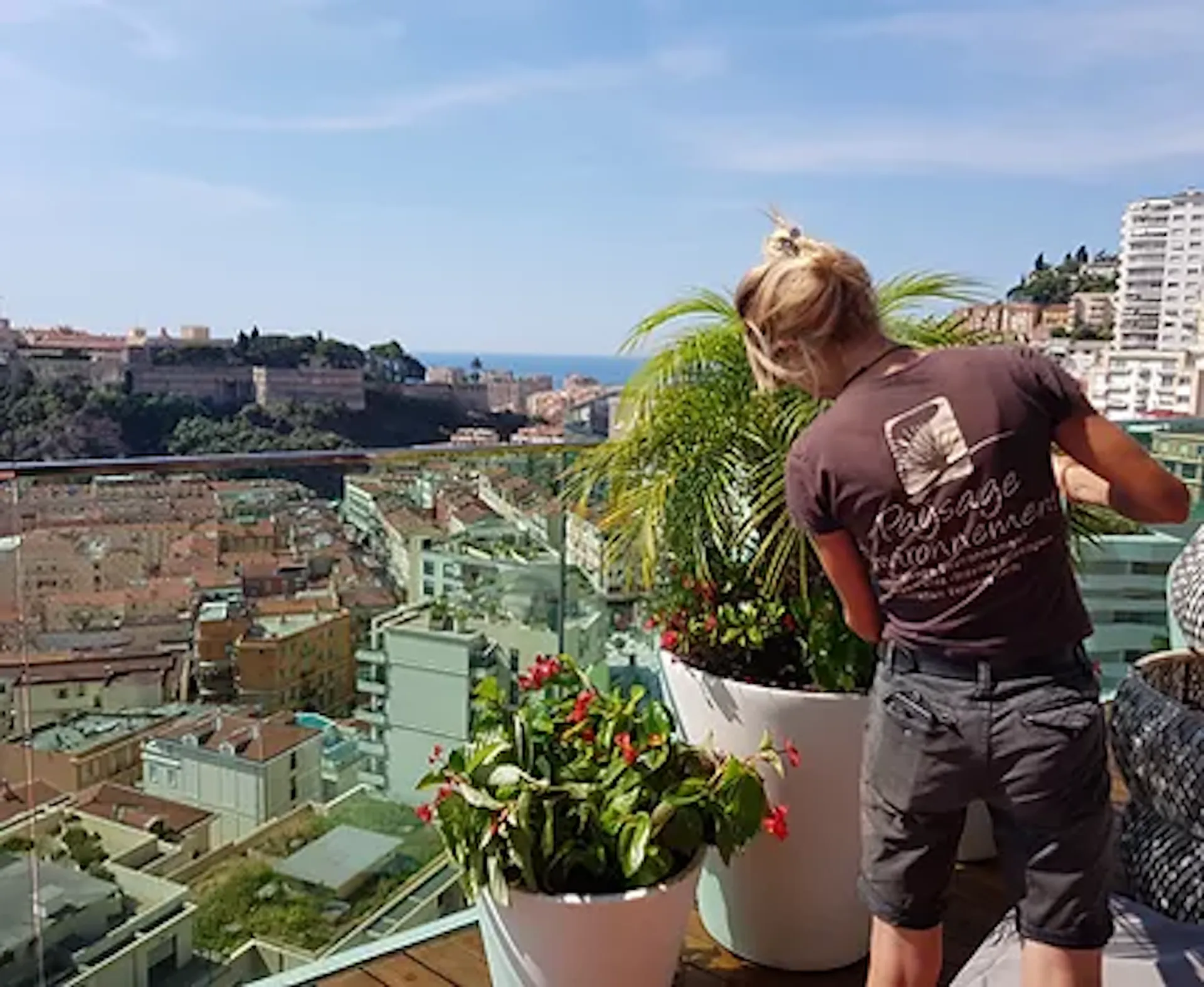 Création et aménagement paysager d'un jardin à Monaco