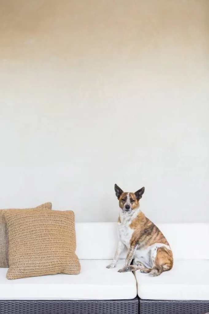 TADELAKT TERRE DU MONDE-RÉSIDENCE PRIVÉE LOS ANGELES