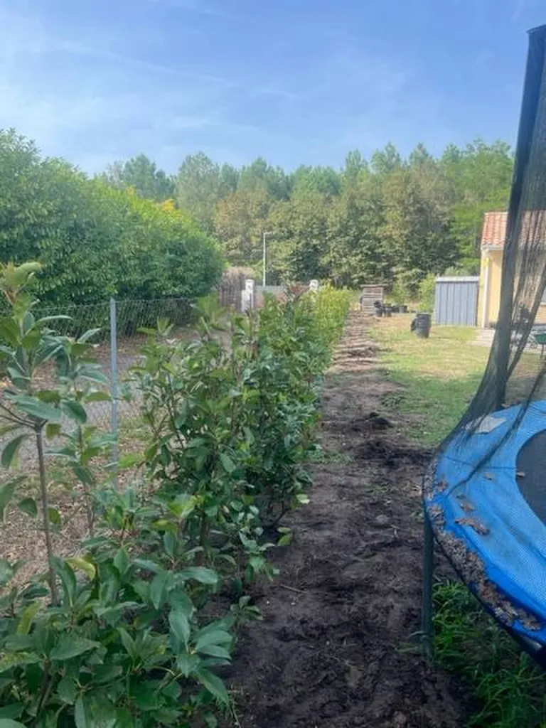 Transformation d’un espace extérieur avec une haie de Photinias par un professionnel à Biscarrosse