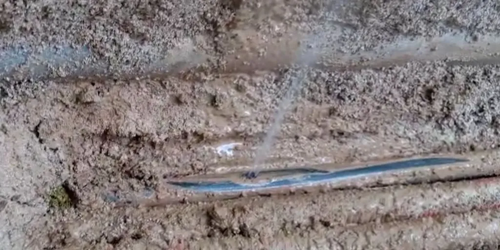 Quels sont les signes qui indiquent une fuite d'eau dans votre maison à Aix-en-Provence, Aubagne ou Gardanne ?
