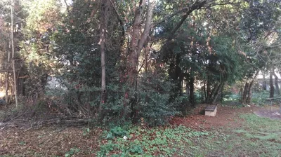 travaux jardin marseille