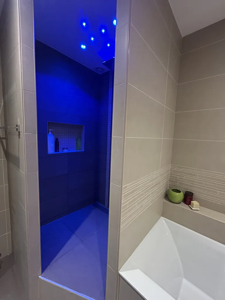 Douche à l’italienne avec niche murale pour produits intégrée et leds bleues dans cette salle de bain rénovée à Saint-Germain-au-Mont-d’Or près de Lyon (69)