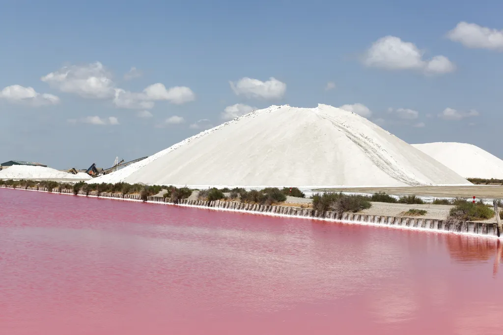 Excursion safari 4x4 remparts et salins roses pour découvrir le patrimoine historique et naturel sauvage de la cité médiévale d'Aigues-Mortes.