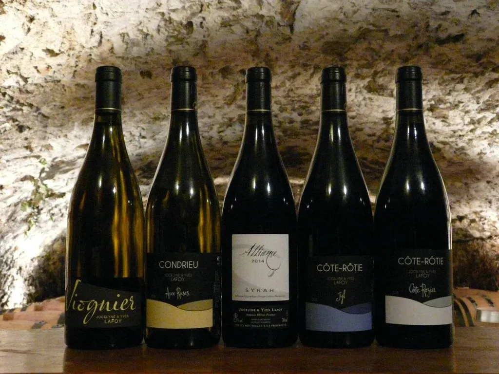 La Vallée du Rhône