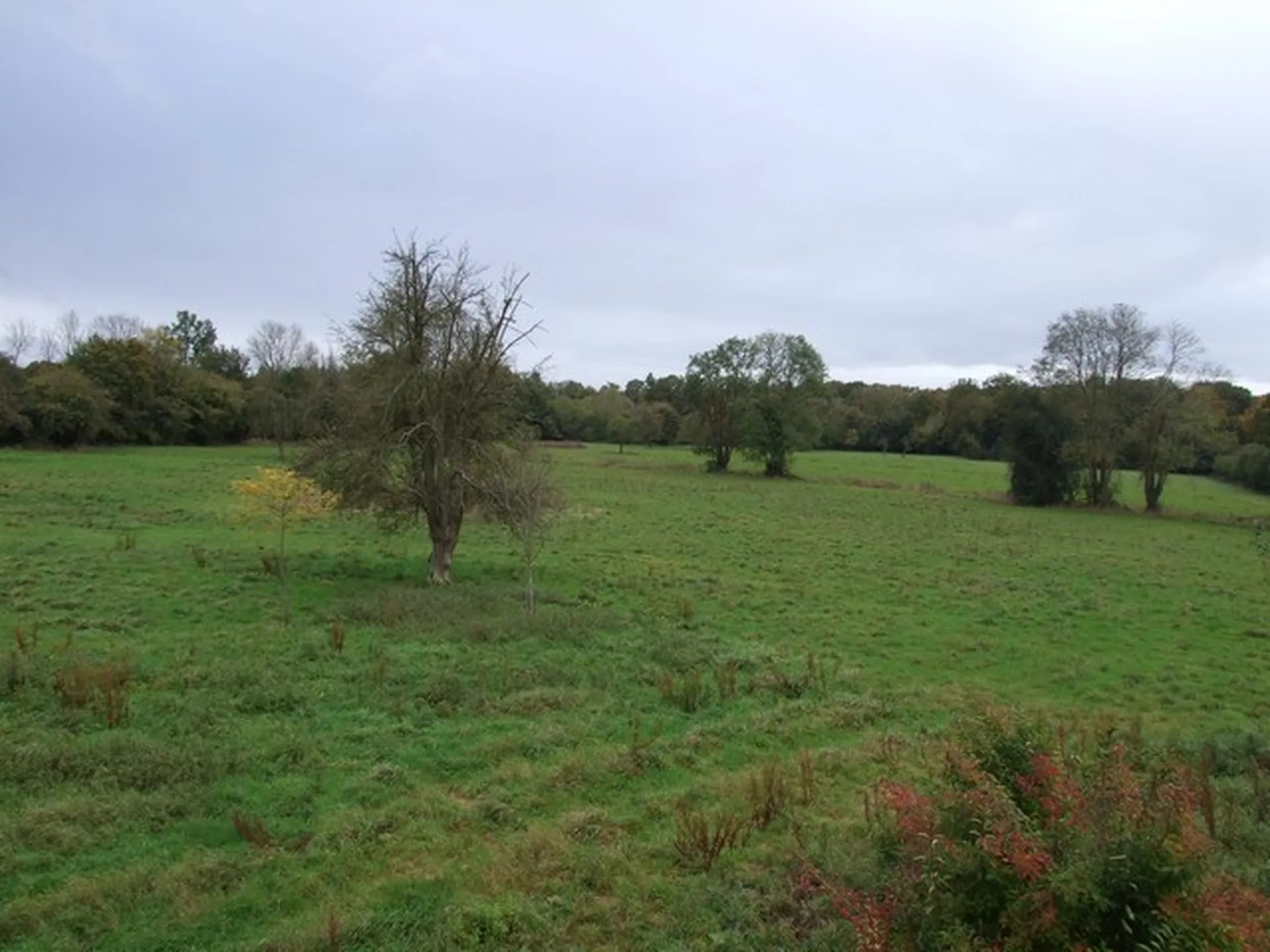 PROPRIETE EQUESTRE OU HERBAGERE Entre PONT L'EVEQUE ET LISIEUX