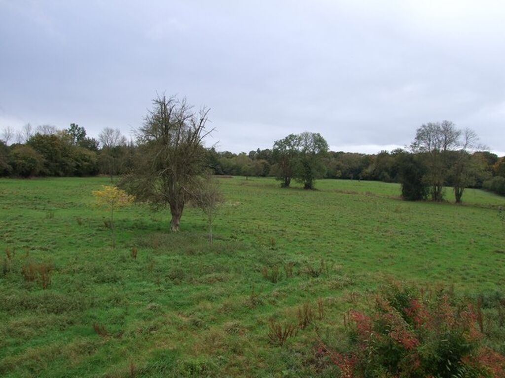 PROPRIETE EQUESTRE OU HERBAGERE Entre PONT L'EVEQUE ET LISIEUX
