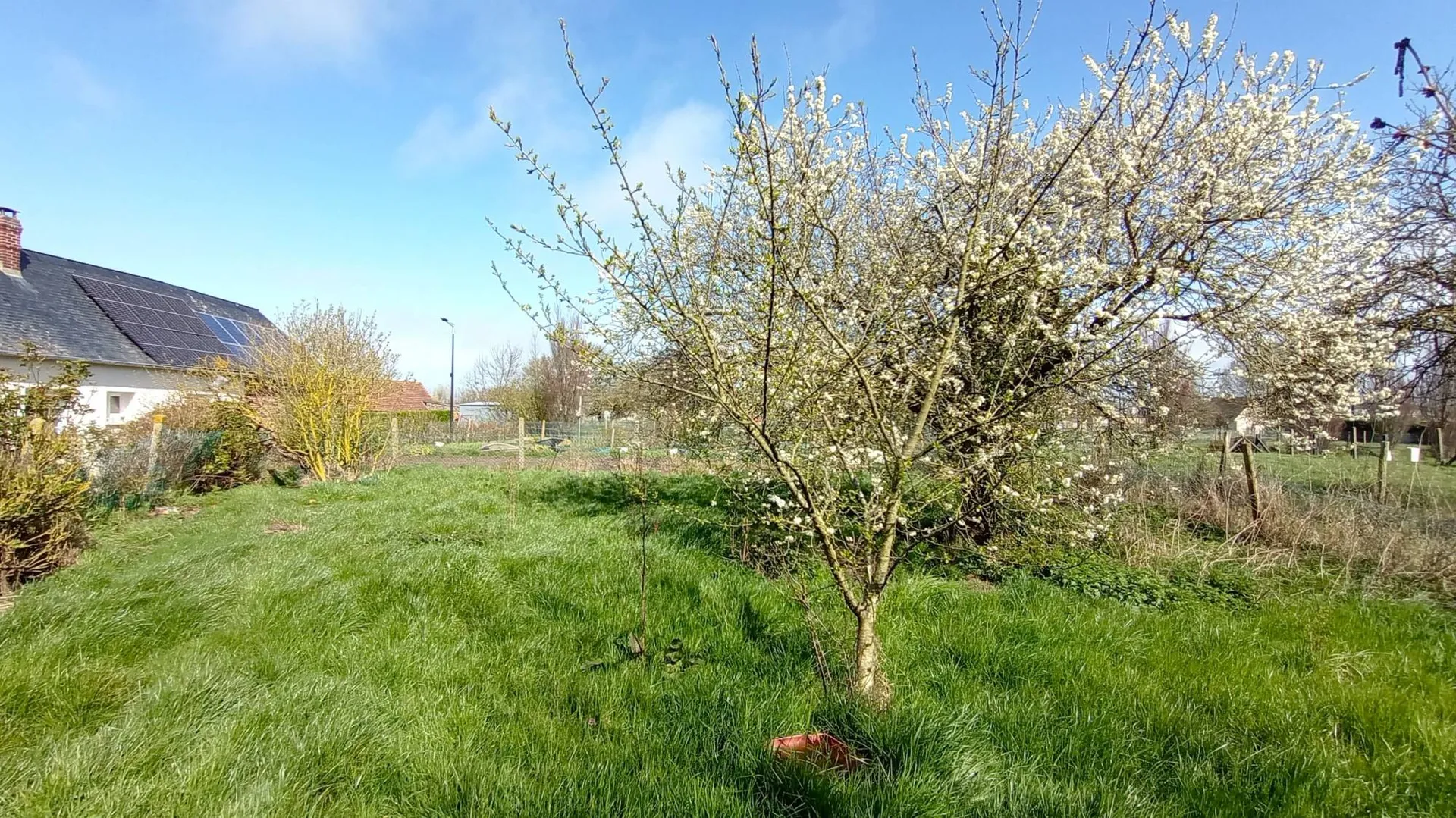 jardin avec arbres fruitiers