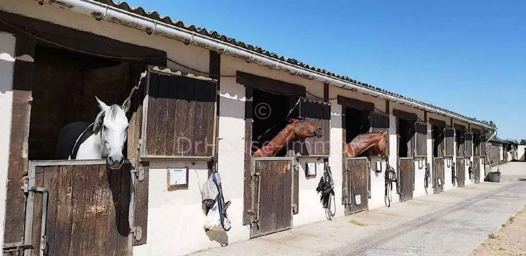 A vendre propriété équestre édifiée sur un terrain de 80 000 m² sur la commune de LES BAUX DE BRETEUIL 27160