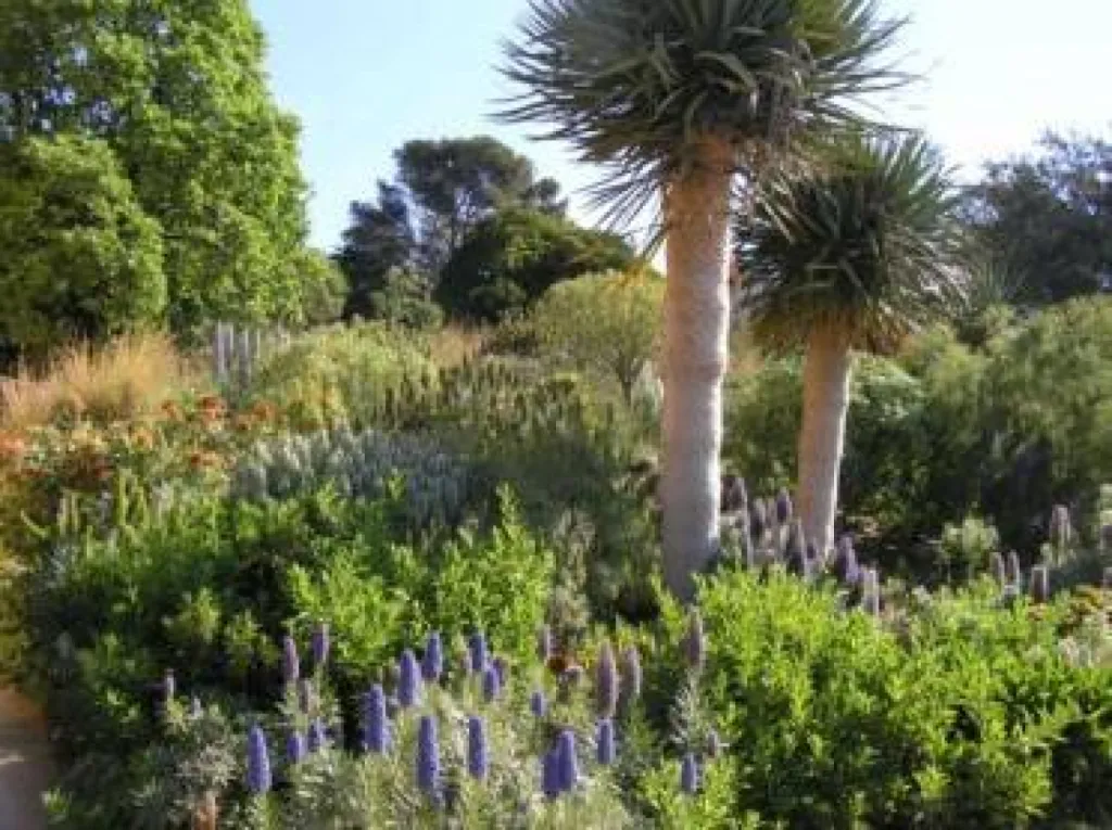 Le jardin des Méditerranées Domaine de Rayol, à visiter absolument