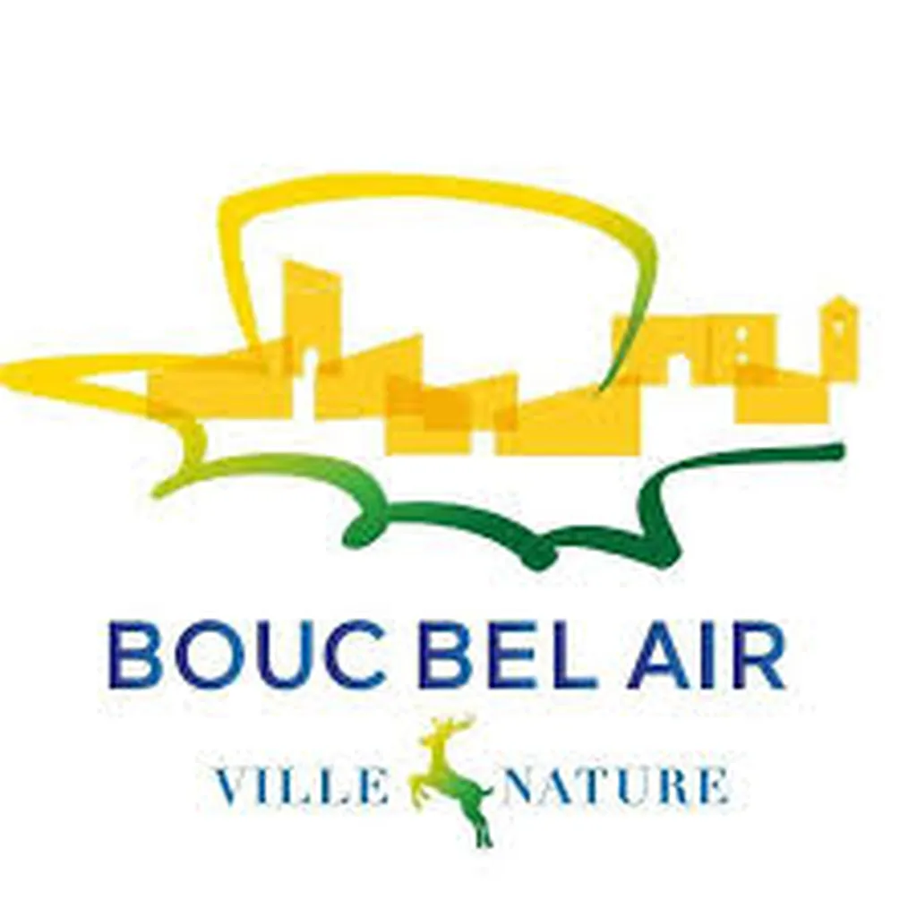 Location de photobooth pour les professionnels évènement d'entreprise Mairie de Bouc-Bel-Air