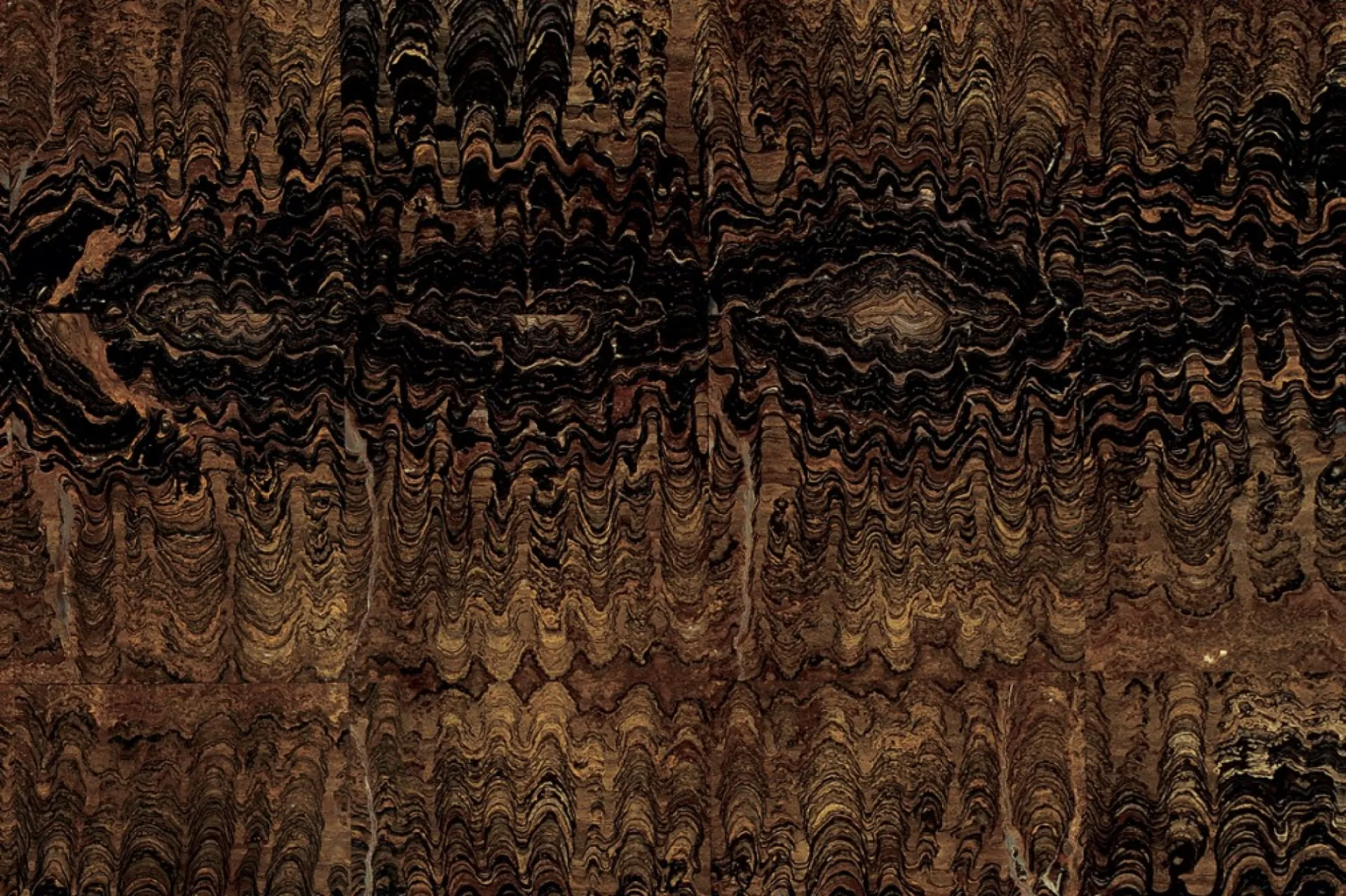 Stromatolite Book Match