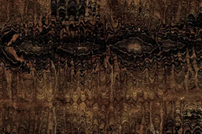 Stromatolite Book Match