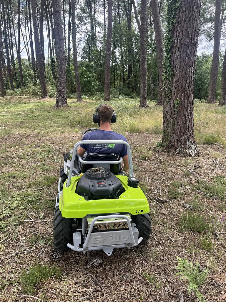 Débroussaillage de votre terrain pour prévenir les risques d’incendie à Sainte-Eulalie-en-Born dans les Landes