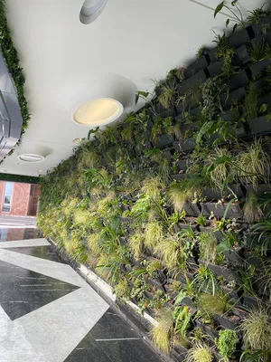 Mur végétalisé naturel le simona à Monaco