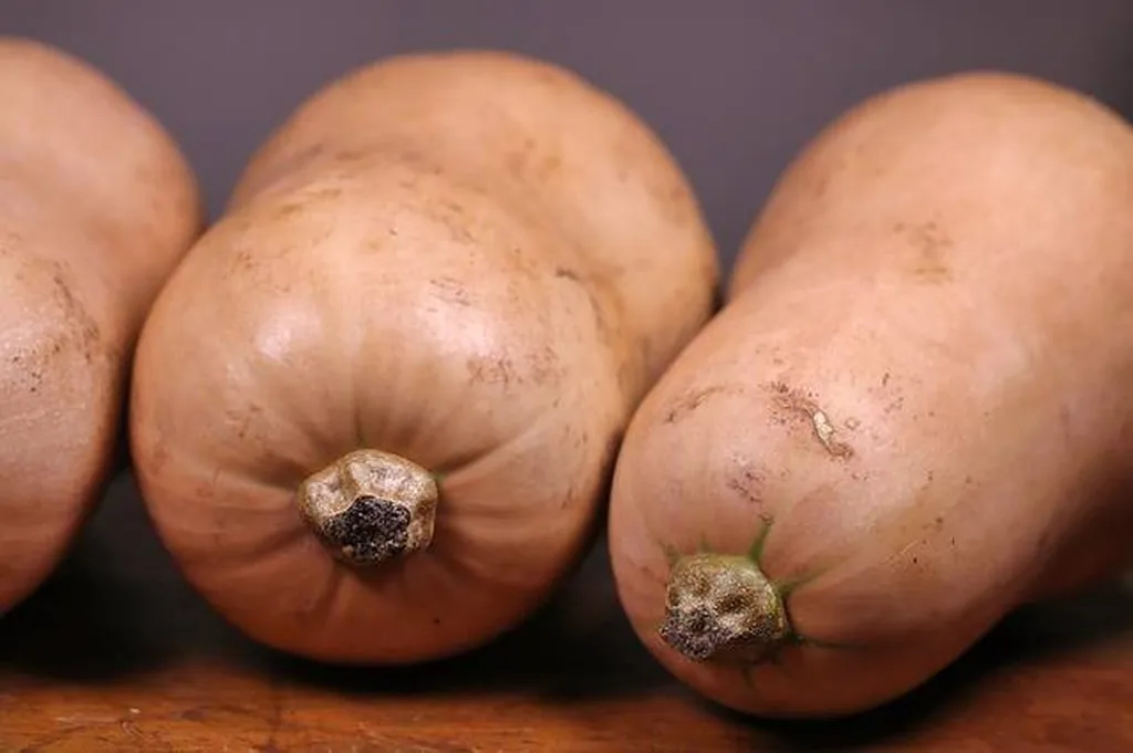 Courge Butternut Pièce