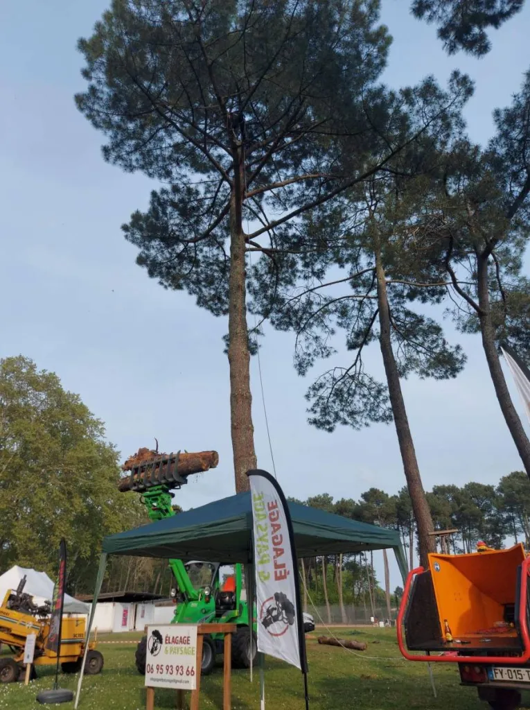Stand Elagage et Paysage à la fête des Jardins de Saint Aubin de Médoc