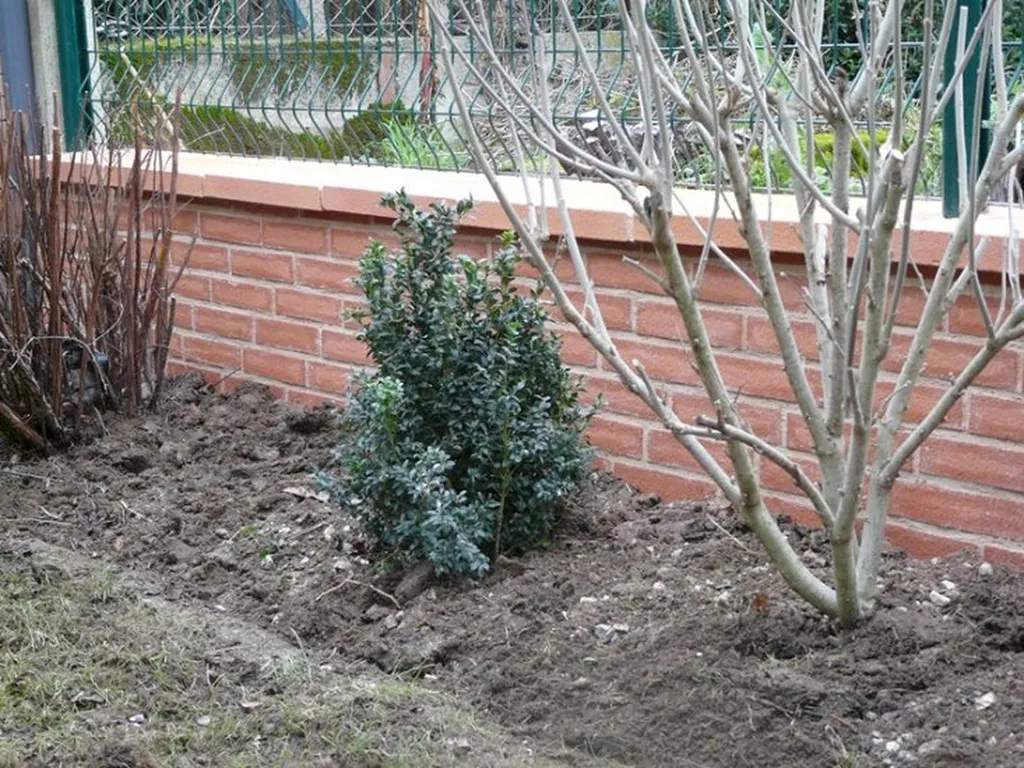 Réalisation d'un parement de mur Toulouse