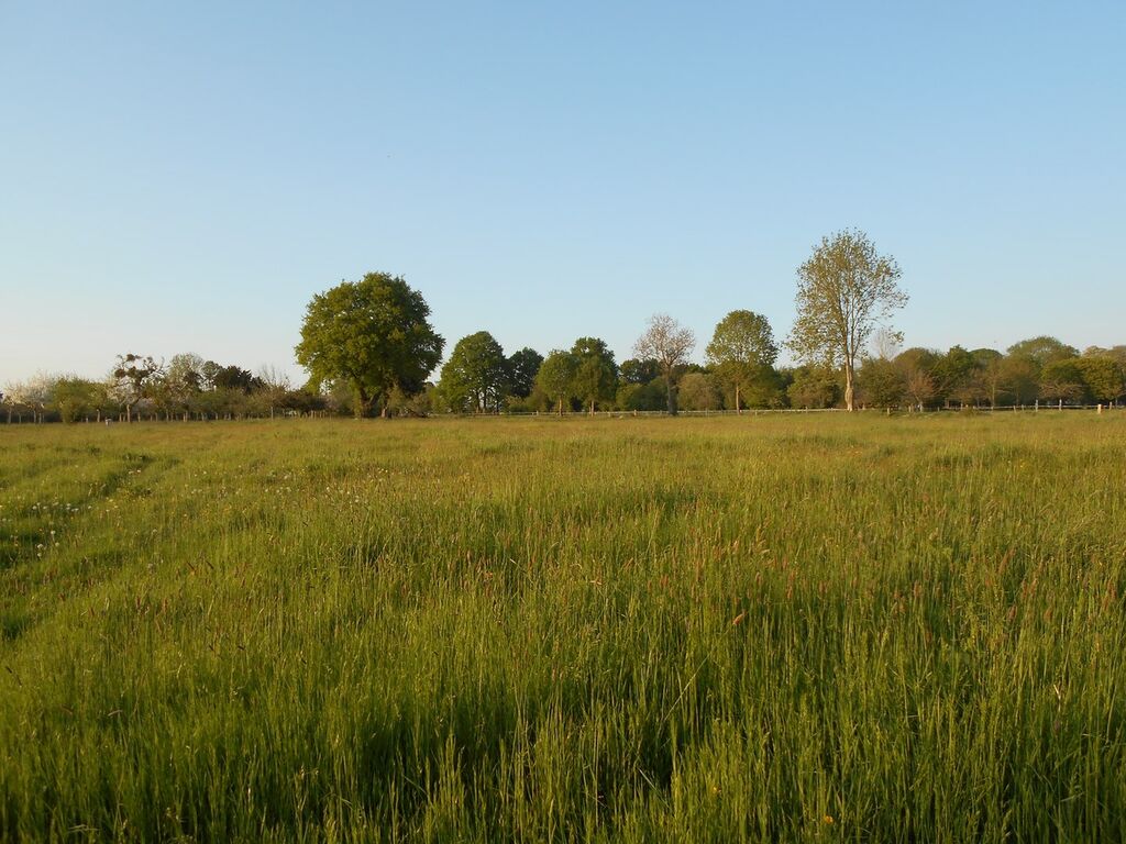 3 HECTARES DE TERRAIN PLAT A ACHETER PROCHE LISIEUX, AVEC ANCIENNE FERME