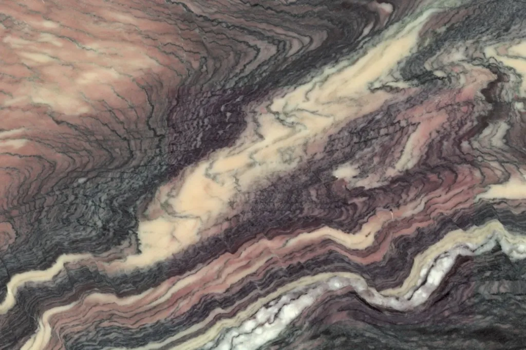 Nos prestations sur le secteur deCannes Alpes Maritimes