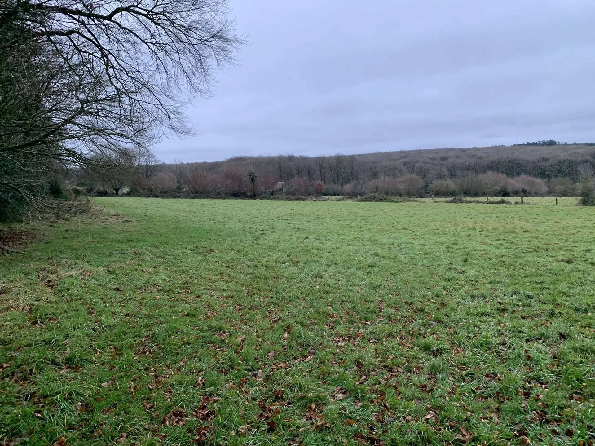 Région SOURDEVAL (MANCHE) Parcelles d'herbage et bois taillis sur 9 HA 10 A