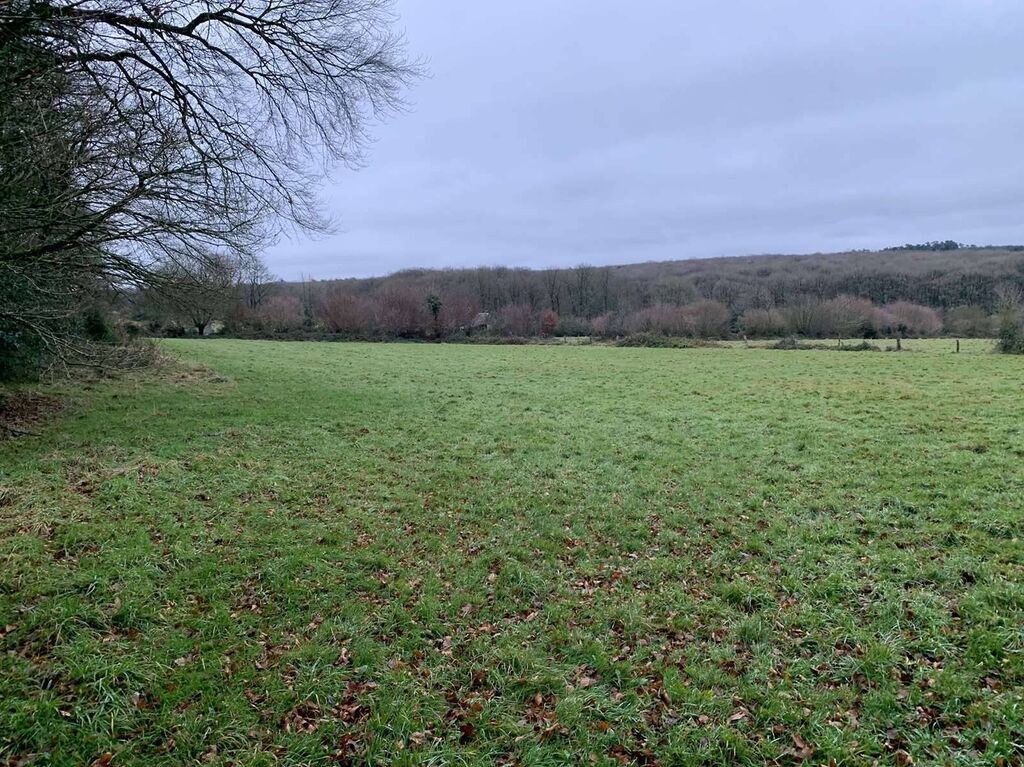 Région SOURDEVAL (MANCHE) Parcelles d'herbage et bois taillis sur 9 HA 10 A