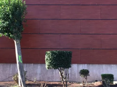 Massifs plus épurés