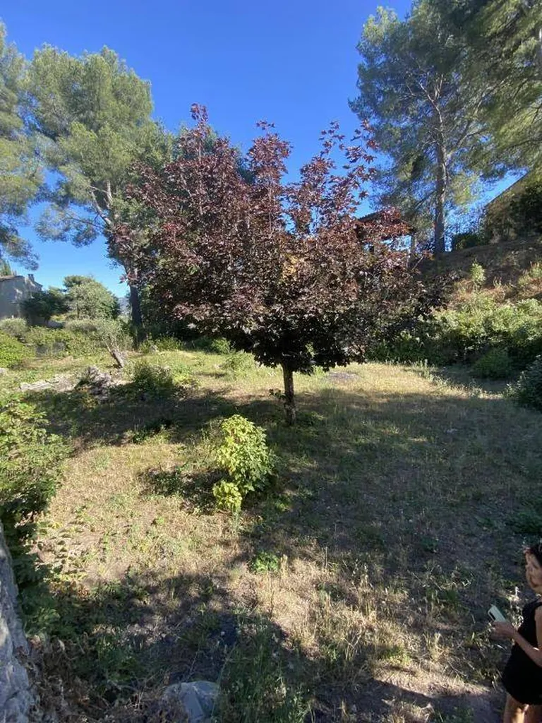 Notre zone d'activité pour ce serviceAcheter un terrain avec vue dégagée