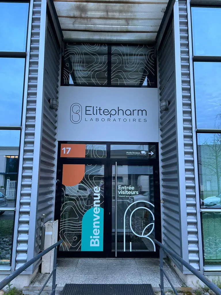 vitrophanie strasbourg